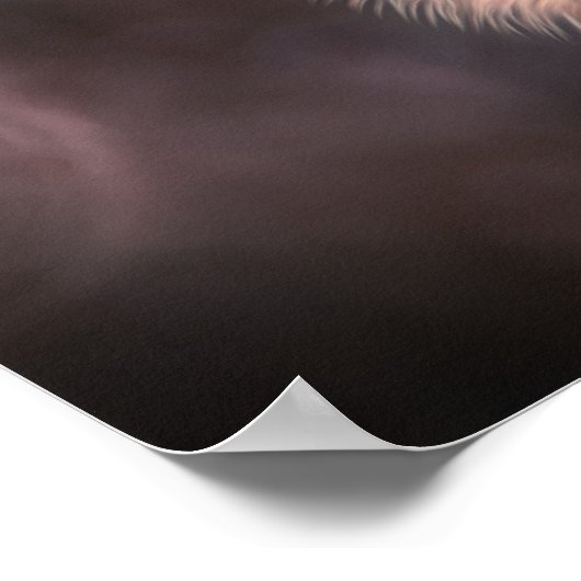 Poster Chardon (Coin)