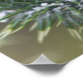 Poster Chardon (Coin)