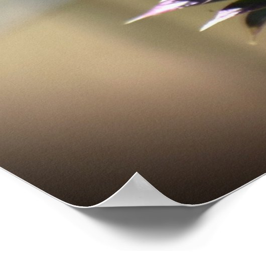 Poster Chardon, (Coin)