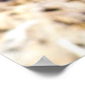 Poster Chardon (Coin)