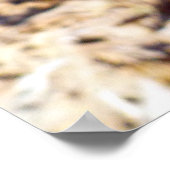 Poster Chardon (Coin)