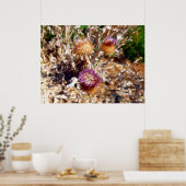 Poster Chardon (Cuisine)