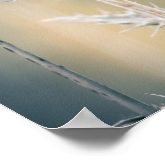 Poster Chardon Bleu (Coin)