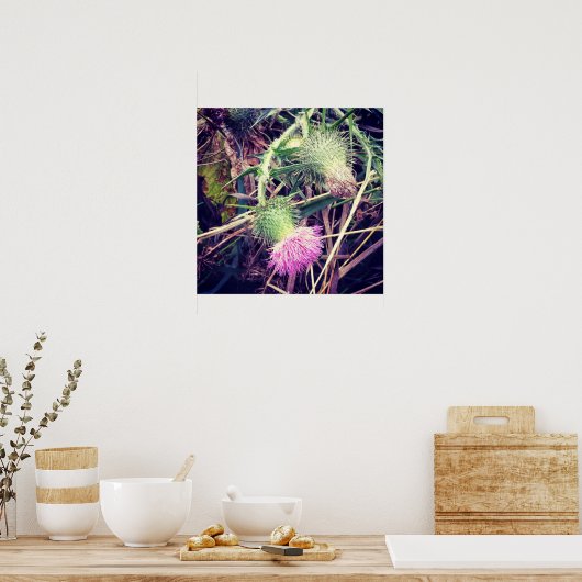 Poster Chardon Canada (Cuisine)