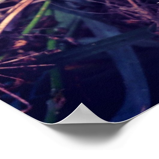 Poster Chardon Canada (Coin)