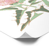 Poster Chardon de lait (Coin)