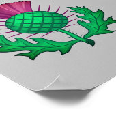 Poster Chardon écossais (Coin)