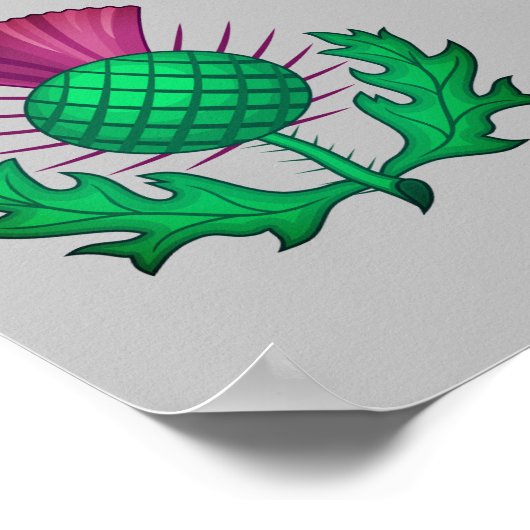 Poster Chardon écossais (Coin)