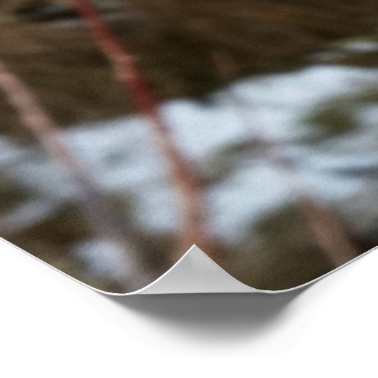 Poster chardon en janvier (Coin)