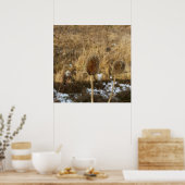 Poster chardon en janvier (Cuisine)