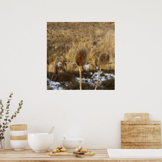 Poster chardon en janvier (Cuisine)