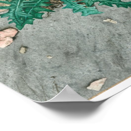 Poster Chardon et jetons (Coin)