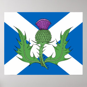 Poster Chardon et Saltire écossais