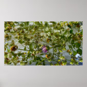 Poster Chardon et trèfle glacés, (Devant)