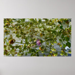 Poster Chardon et trèfle glacés,