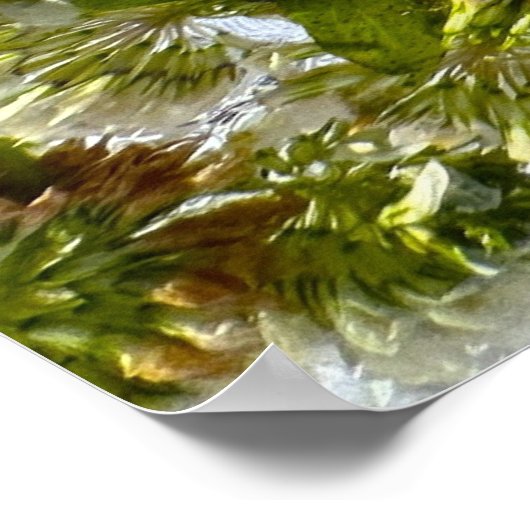 Poster Chardon et trèfle glacés, (Coin)