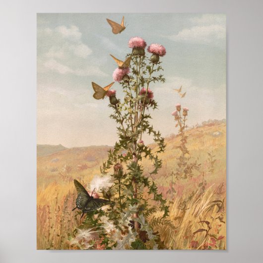 Poster Chardon | Ponts Fidelia (Devant)