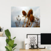 Poster chardons secs (Bureau à domicile)