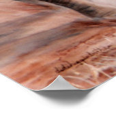 Poster Charger Elephant (Coin)