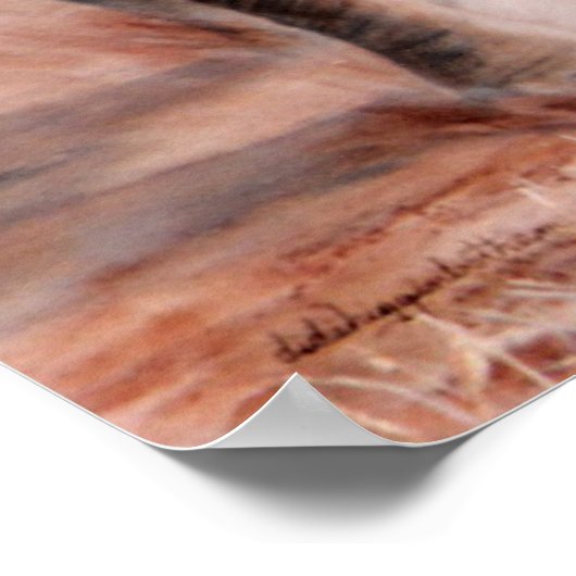 Poster Charger Elephant (Coin)