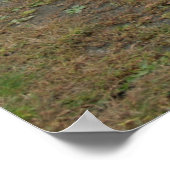 Poster Chargeur Dodge 1968 (Coin)