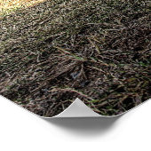 Poster Chargeur Dodge 1968 en HDR. (Coin)