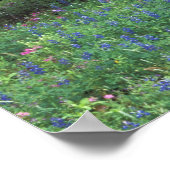 Poster chariot ancien dans (Coin)