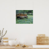 Poster chariot ancien dans (Cuisine)