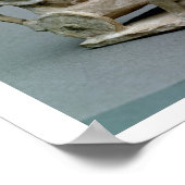 Poster Chariot et horses, from the Tomb of Princess Nefe (Coin)