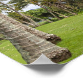 Poster Chariots de golf à Poipu Bay, Kauai, Hawaii (Coin)