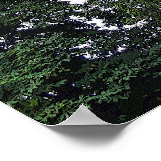 Poster Charlemagne (Coin)