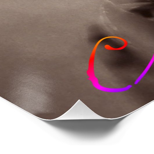 Poster Charles Baudelaire (Coin)