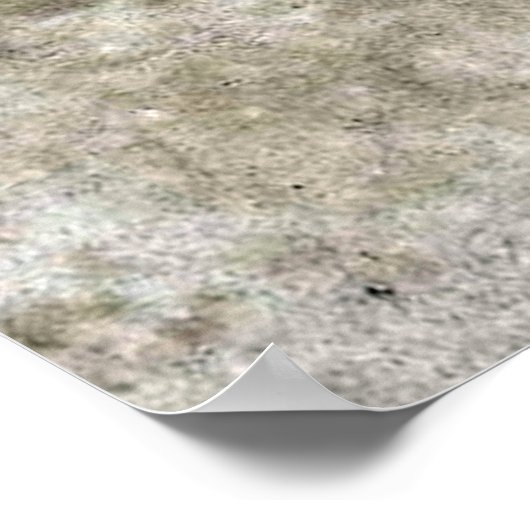 Poster Charles Blondin - Acrobat (Coin)