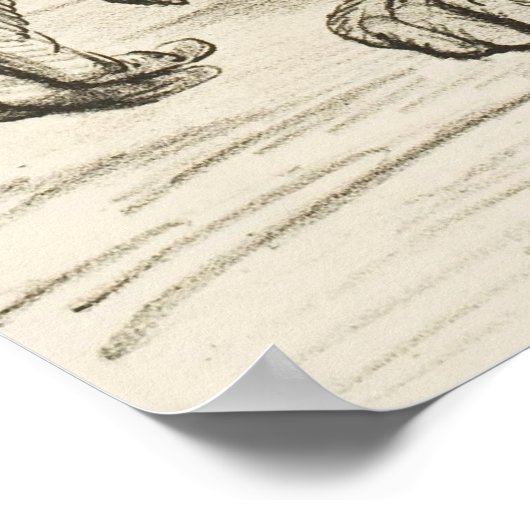 Poster Charles Darwin (Coin)