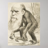 Poster Charles Darwin (Devant)