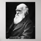 Poster Charles Darwin (Devant)