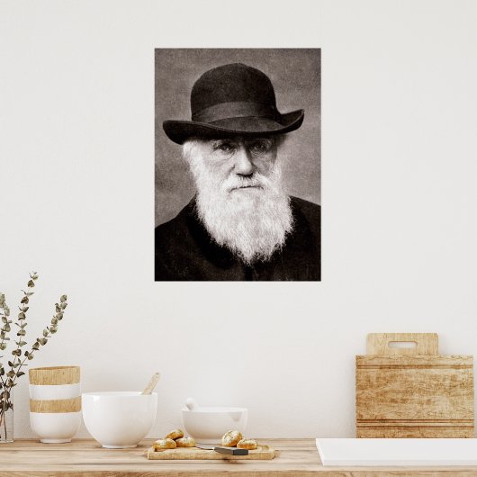 Poster Charles Darwin (Cuisine)
