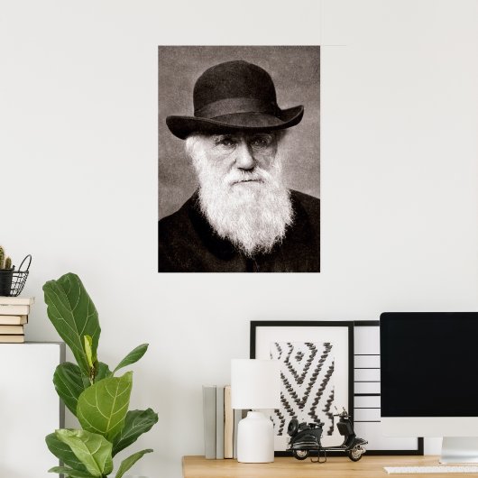 Poster Charles Darwin (Bureau à domicile)