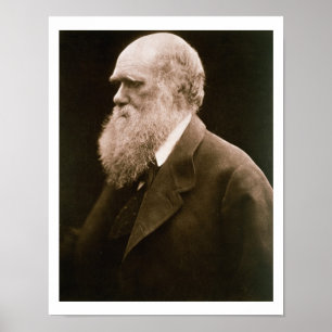 Poster Charles Darwin (1809-82) (photo)