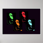 Poster Charles Darwin Collage (Devant)