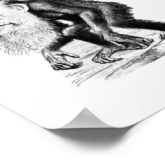 Poster Charles Darwin Comme Un Ape (Coin)