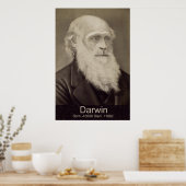 Poster Charles Darwin La descente de Man Darwin Portrait (Cuisine)