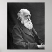 Poster Charles Darwin Portrait - 1874 (Devant)
