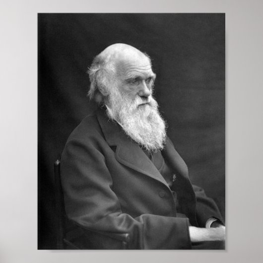 Poster Charles Darwin Portrait - 1874 (Devant)