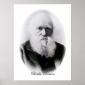 Poster Charles Darwin Vignette (Devant)