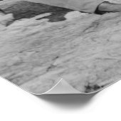 Poster Charles Francis Adams (Coin)