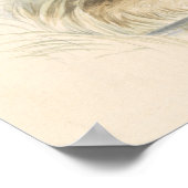 Poster Charles Hamilton Smith - La Capybara (Coin)