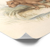 Poster Charles Hamilton Smith - La Capybara (Coin)