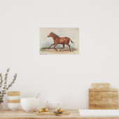 Poster Charles Hamilton Smith - Le Cheval Koomrah (Cuisine)