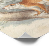 Poster Charles Hamilton Smith - L'écureuil de Duvaucel (Coin)